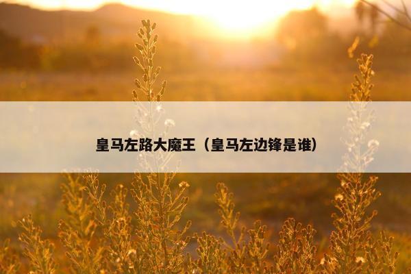 皇马左路大魔王（皇马左边锋是谁）