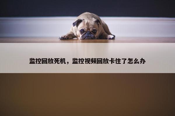 监控回放死机，监控视频回放卡住了怎么办
