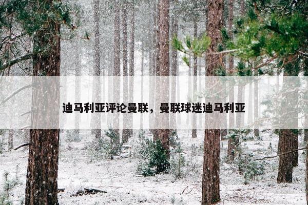 迪马利亚评论曼联，曼联球迷迪马利亚