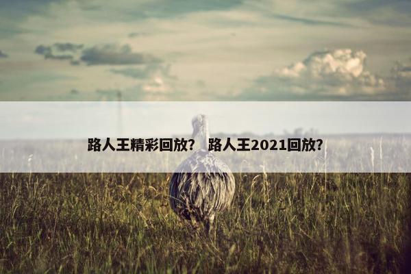 路人王精彩回放？ 路人王2021回放？
