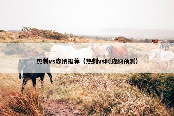 热刺vs森纳推荐（热刺vs阿森纳预测）