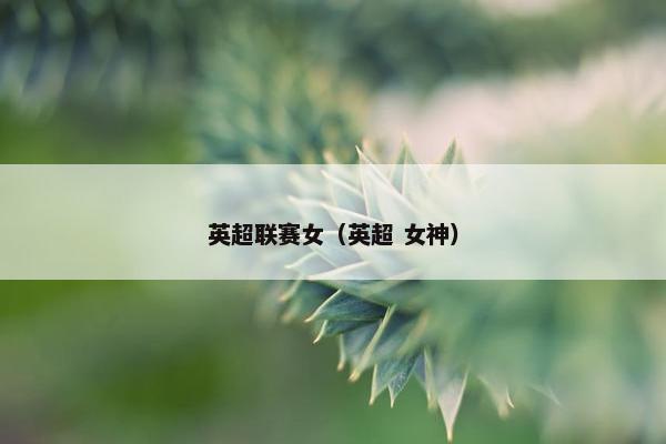 英超联赛女（英超 女神）