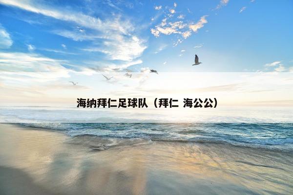 海纳拜仁足球队(拜仁 海公公) 海纳拜仁足球队(拜仁 海公公)