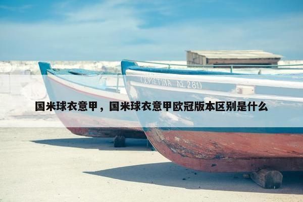 国米球衣意甲，国米球衣意甲欧冠版本区别是什么