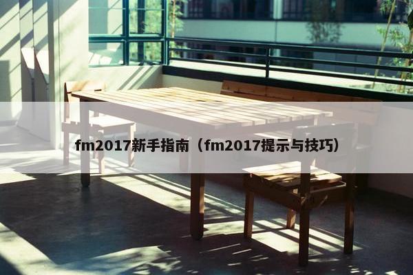 fm2017新手指南（fm2017提示与技巧）