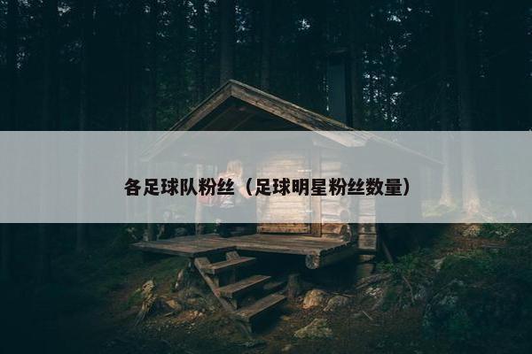 各足球队粉丝(足球明星粉丝数量) 各足球队粉丝(足球明星粉丝数量)