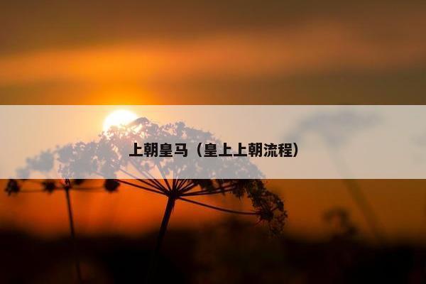 上朝皇马（皇上上朝流程）