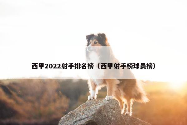 西甲2022射手排名榜（西甲射手榜球员榜）