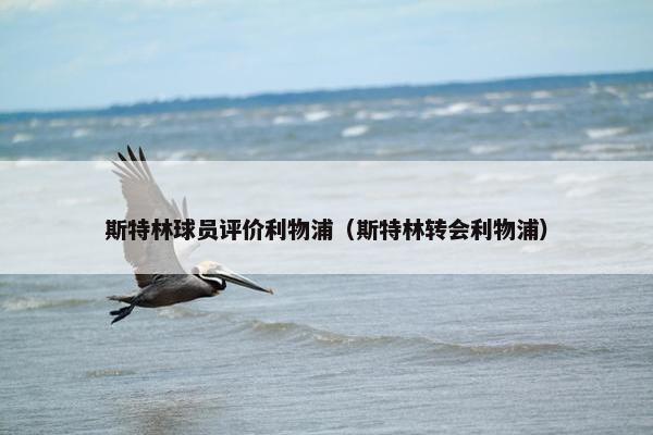 斯特林球员评价利物浦（斯特林转会利物浦）