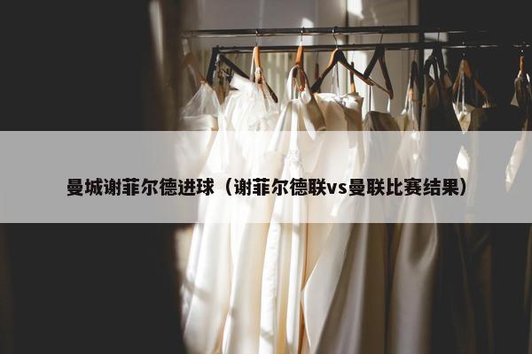 曼城谢菲尔德进球（谢菲尔德联vs曼联比赛结果）