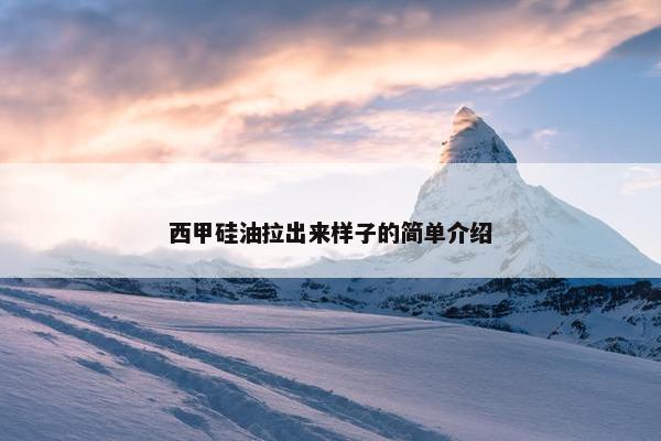 西甲硅油拉出来样子的简单介绍