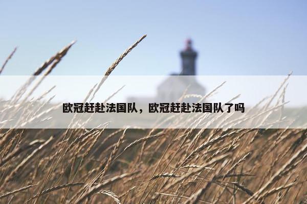 欧冠赶赴法国队，欧冠赶赴法国队了吗