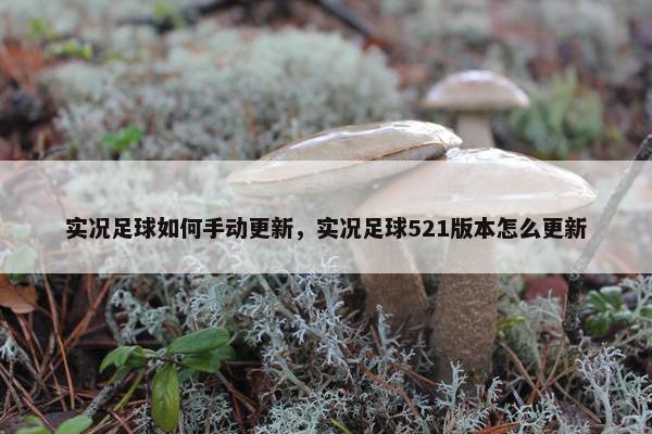 实况足球如何手动更新，实况足球521版本怎么更新