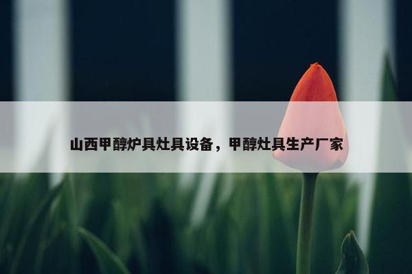 山西甲醇炉具灶具设备，甲醇灶具生产厂家