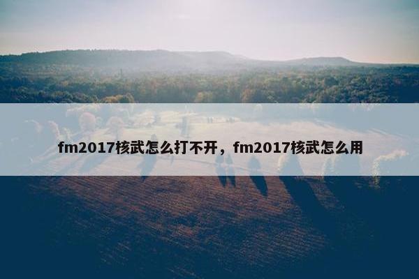 fm2017核武怎么打不开，fm2017核武怎么用
