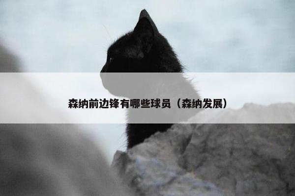 森纳前边锋有哪些球员（森纳发展）