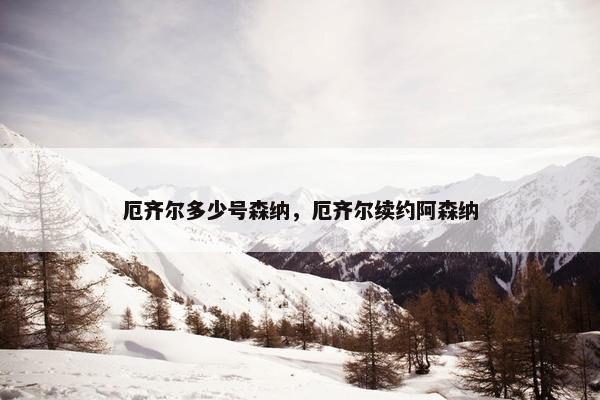 厄齐尔多少号森纳，厄齐尔续约阿森纳