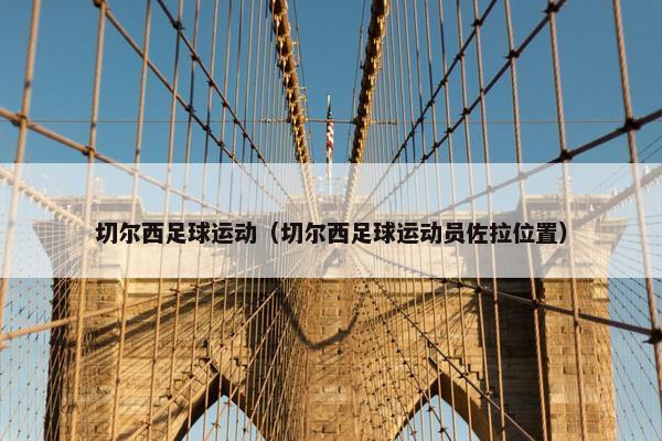 切尔西足球运动（切尔西足球运动员佐拉位置）