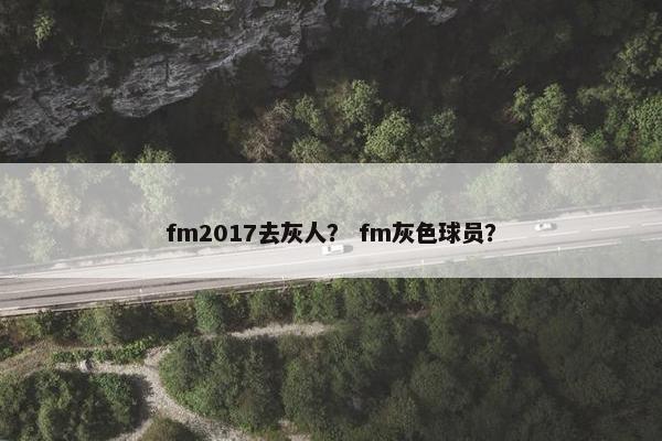 fm2017去灰人？ fm灰色球员？