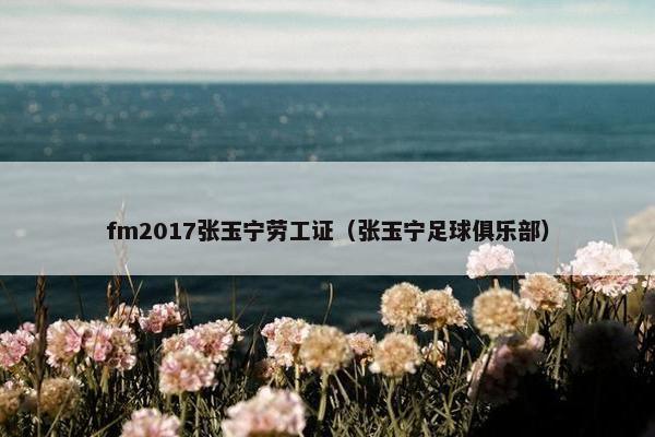 fm2017张玉宁劳工证（张玉宁足球俱乐部）