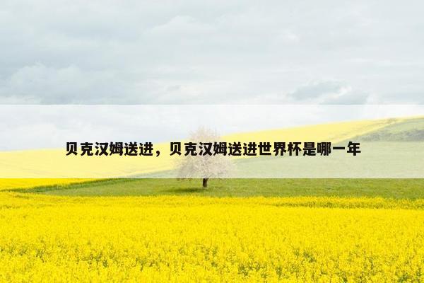 贝克汉姆送进，贝克汉姆送进世界杯是哪一年