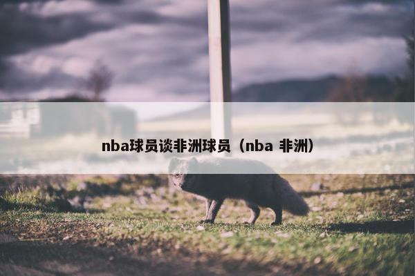nba球员谈非洲球员(nba 非洲) nba球员谈非洲球员(nba 非洲)