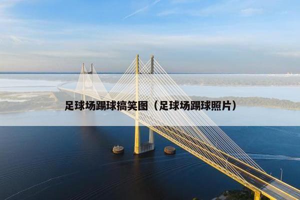 足球场踢球搞笑图（足球场踢球照片）