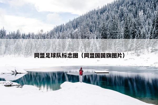 同盟足球队标志图（同盟国国旗图片）