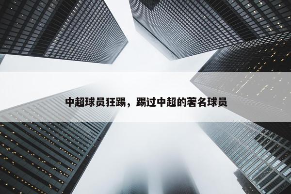 中超球员狂踢，踢过中超的著名球员