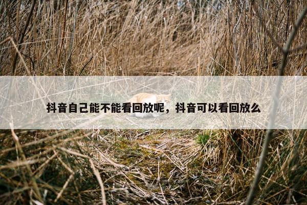 抖音自己能不能看回放呢，抖音可以看回放么