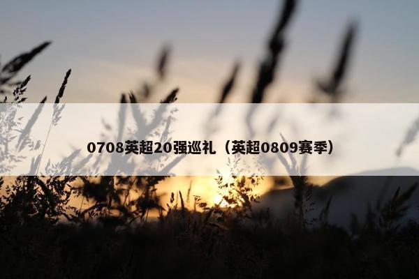 0708英超20强巡礼（英超0809赛季）
