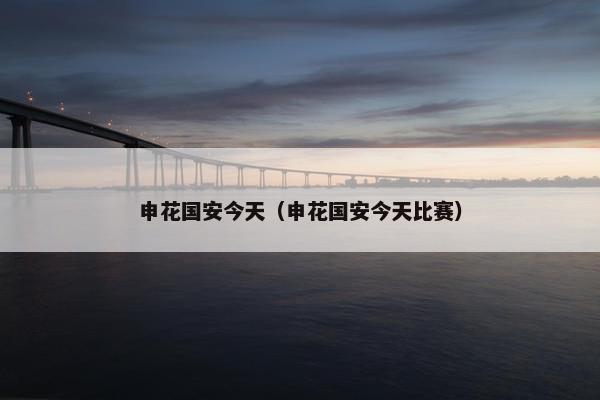 申花国安今天（申花国安今天比赛）