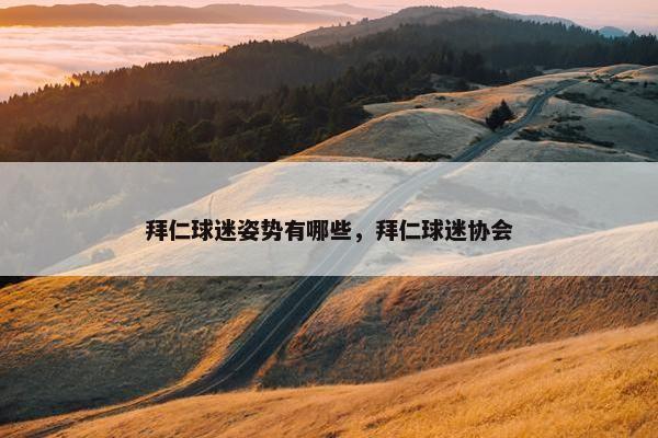 拜仁球迷姿势有哪些，拜仁球迷协会