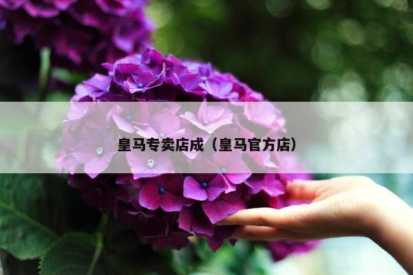 皇马专卖店成（皇马官方店）