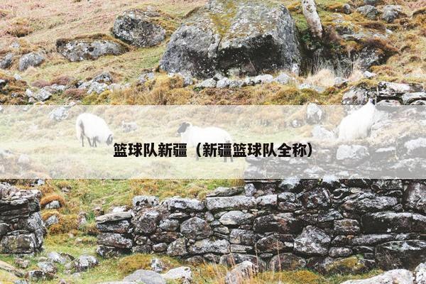 篮球队新疆（新疆篮球队全称）