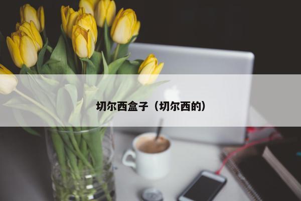 切尔西盒子（切尔西的）
