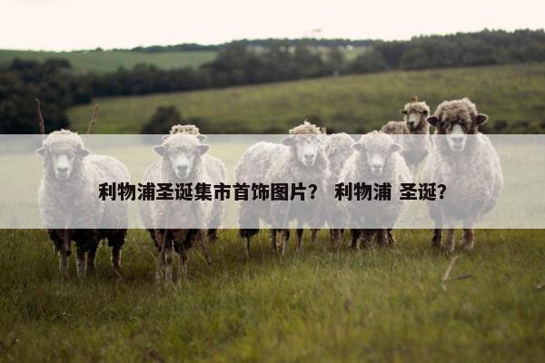 利物浦圣诞集市首饰图片？ 利物浦 圣诞？