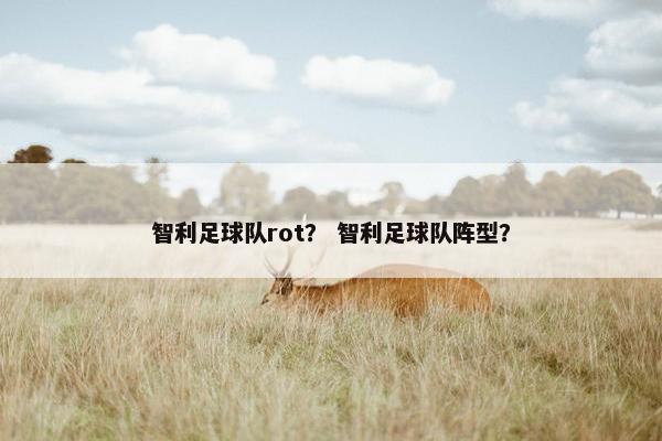 智利足球队rot？ 智利足球队阵型？