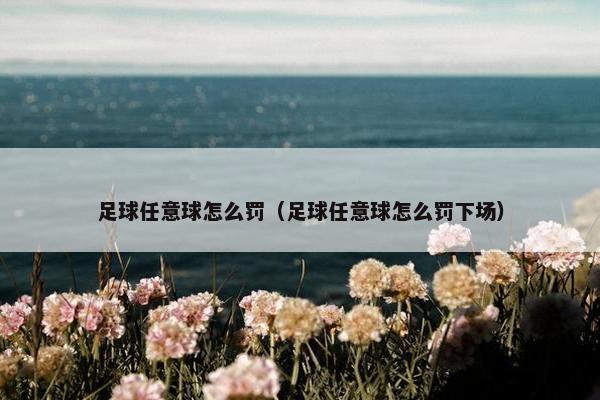足球任意球怎么罚（足球任意球怎么罚下场）