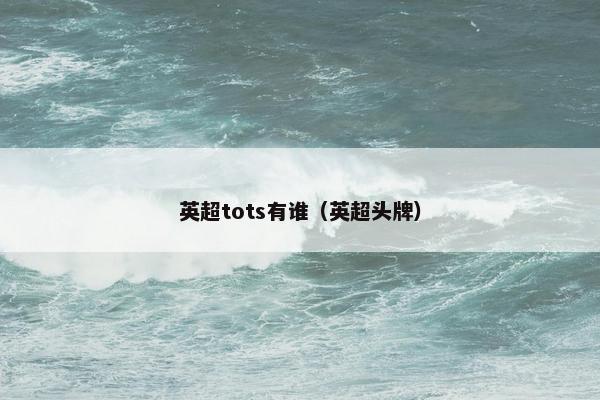 英超tots有谁（英超头牌）