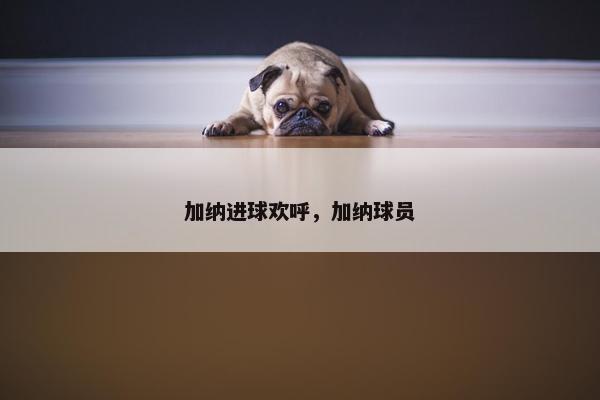 加纳进球欢呼，加纳球员