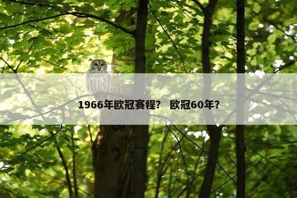 1966年欧冠赛程？ 欧冠60年？