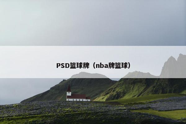 PSD篮球牌（nba牌篮球）