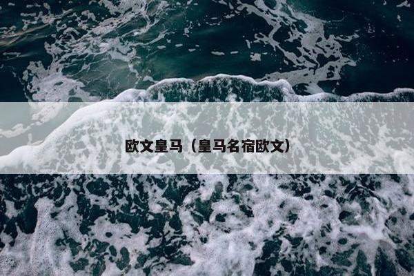欧文皇马（皇马名宿欧文）