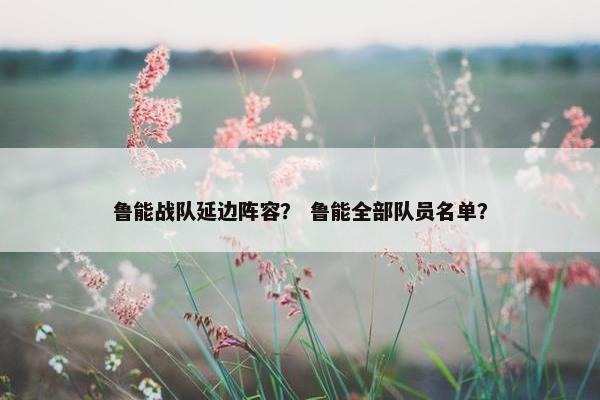 鲁能战队延边阵容？ 鲁能全部队员名单？