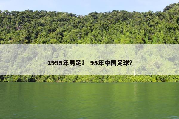 1995年男足？ 95年中国足球？