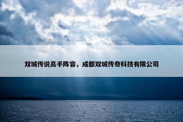 双城传说高手阵容，成都双城传奇科技有限公司