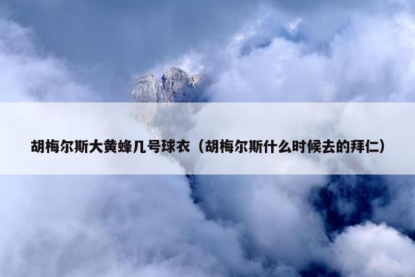 胡梅尔斯大黄蜂几号球衣（胡梅尔斯什么时候去的拜仁）