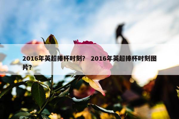 2016年英超捧杯时刻？ 2016年英超捧杯时刻图片？