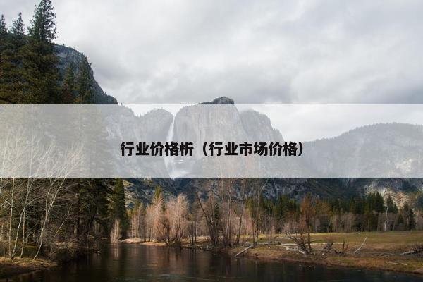 行业价格析（行业市场价格）